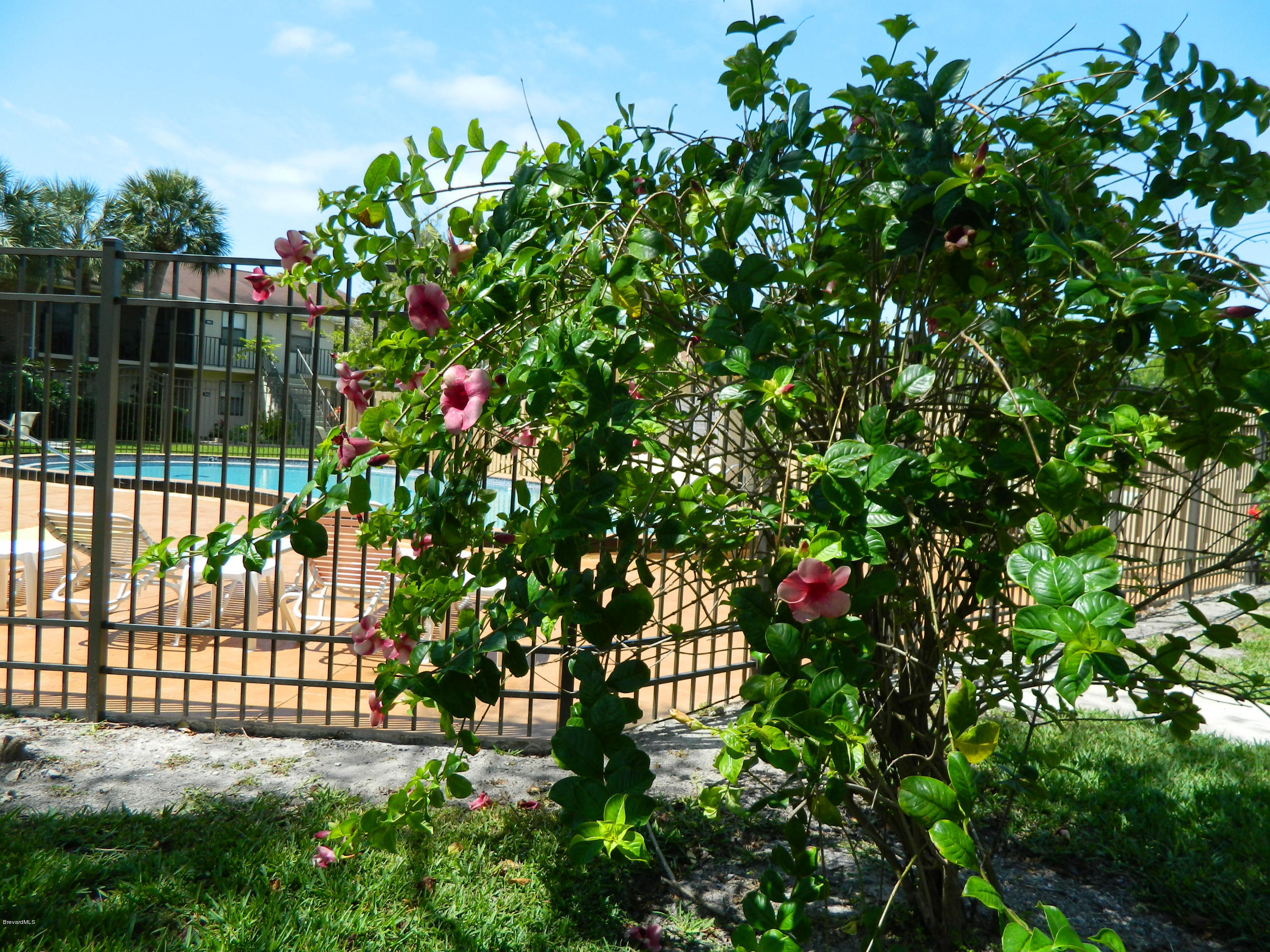 500 Catalina Road, Unit 404 Cocoa Beach, FL 32931 - Photo 22 of 26 pool4