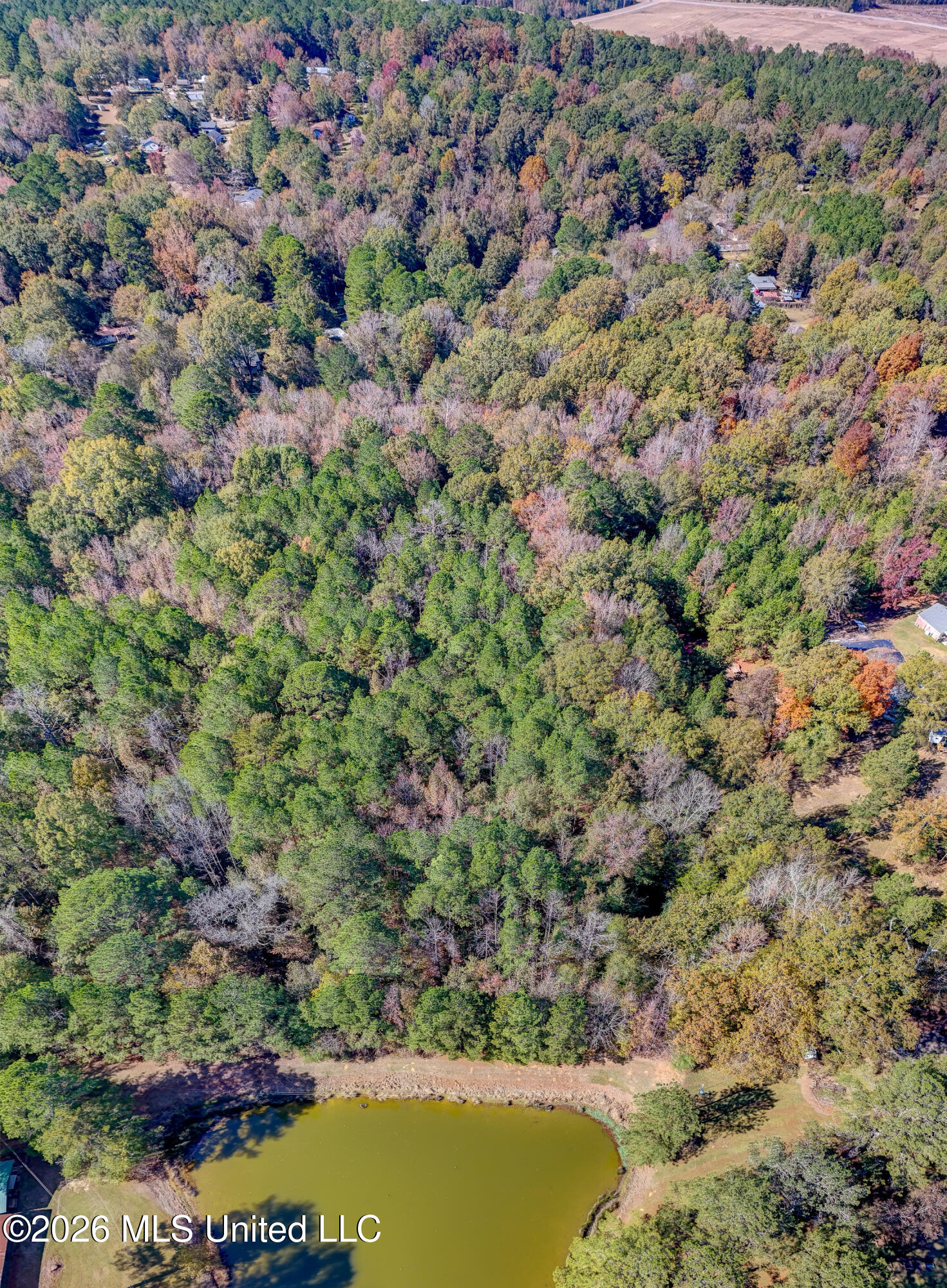 Brenmar Street Brandon, MS 39042 - Photo 2 of 2 Aerial Acreage View