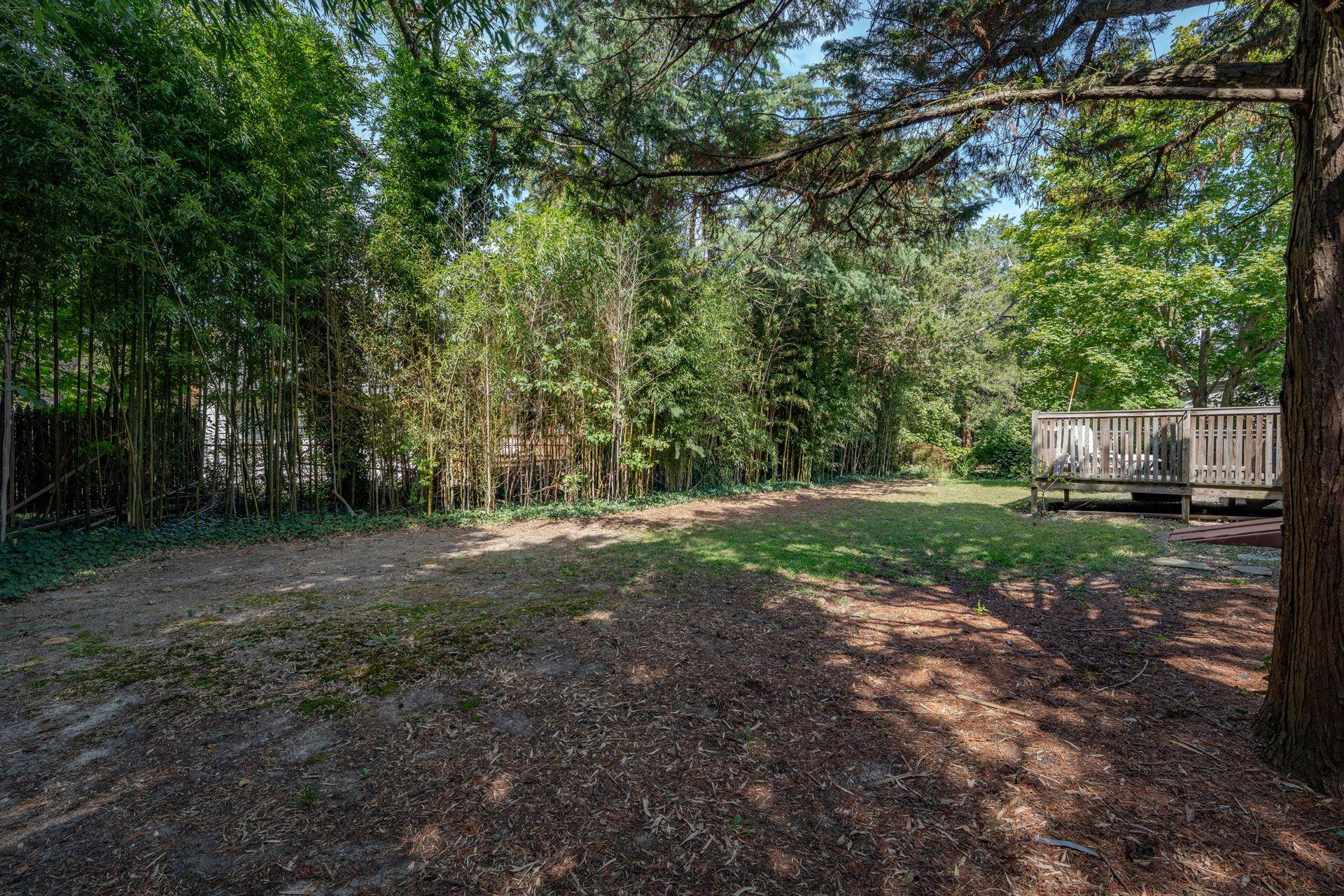 32 Norwood Road Marmora, NJ 08223 - Photo 26 of 32 a view of a yard with a tree