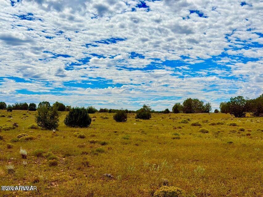 0 Dusty Rose Ranch Road Seligman, AZ 86337 - Photo 19 of 20 Gallery Image 19