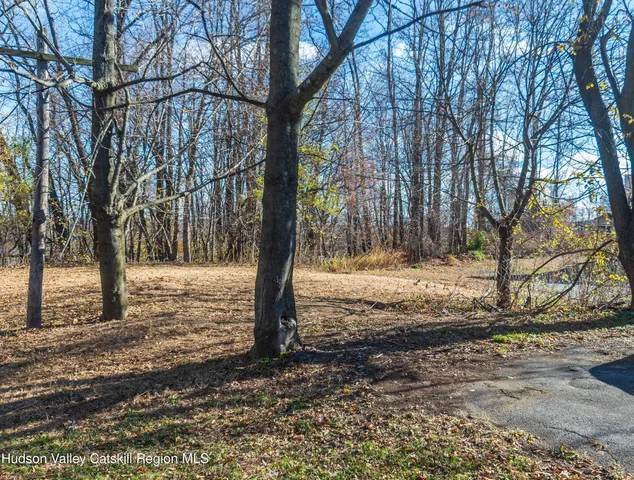 a view of a yard with trees