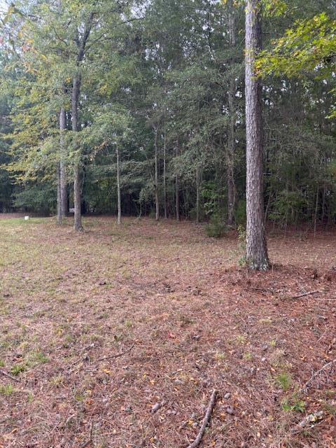 114 Highway 10 McCormick, SC 29835 - Photo 7 of 15