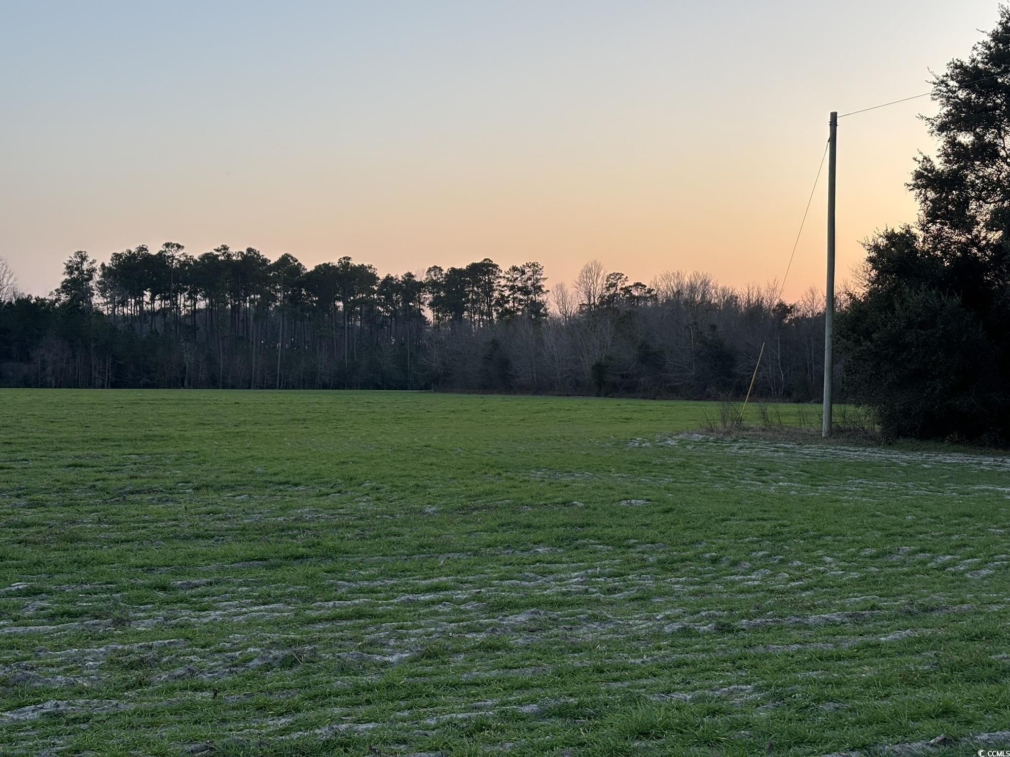 300 Clio Road Loris, SC 29569 - Photo 6 of 10 View of yard at dusk