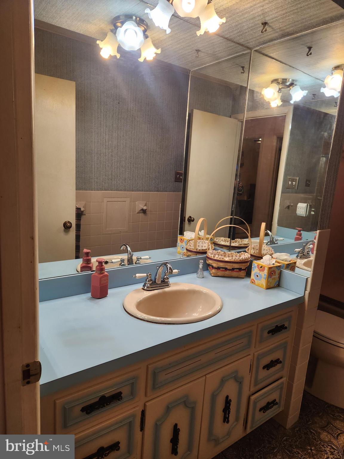 3116 Linda Lane Sinking Spring, PA 19608 - Photo 20 of 44 a bathroom with a sink double vanity and a mirror