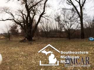 11515 Day Road Dundee, MI 48131 - Photo 9 of 9 21254743-8.JPG