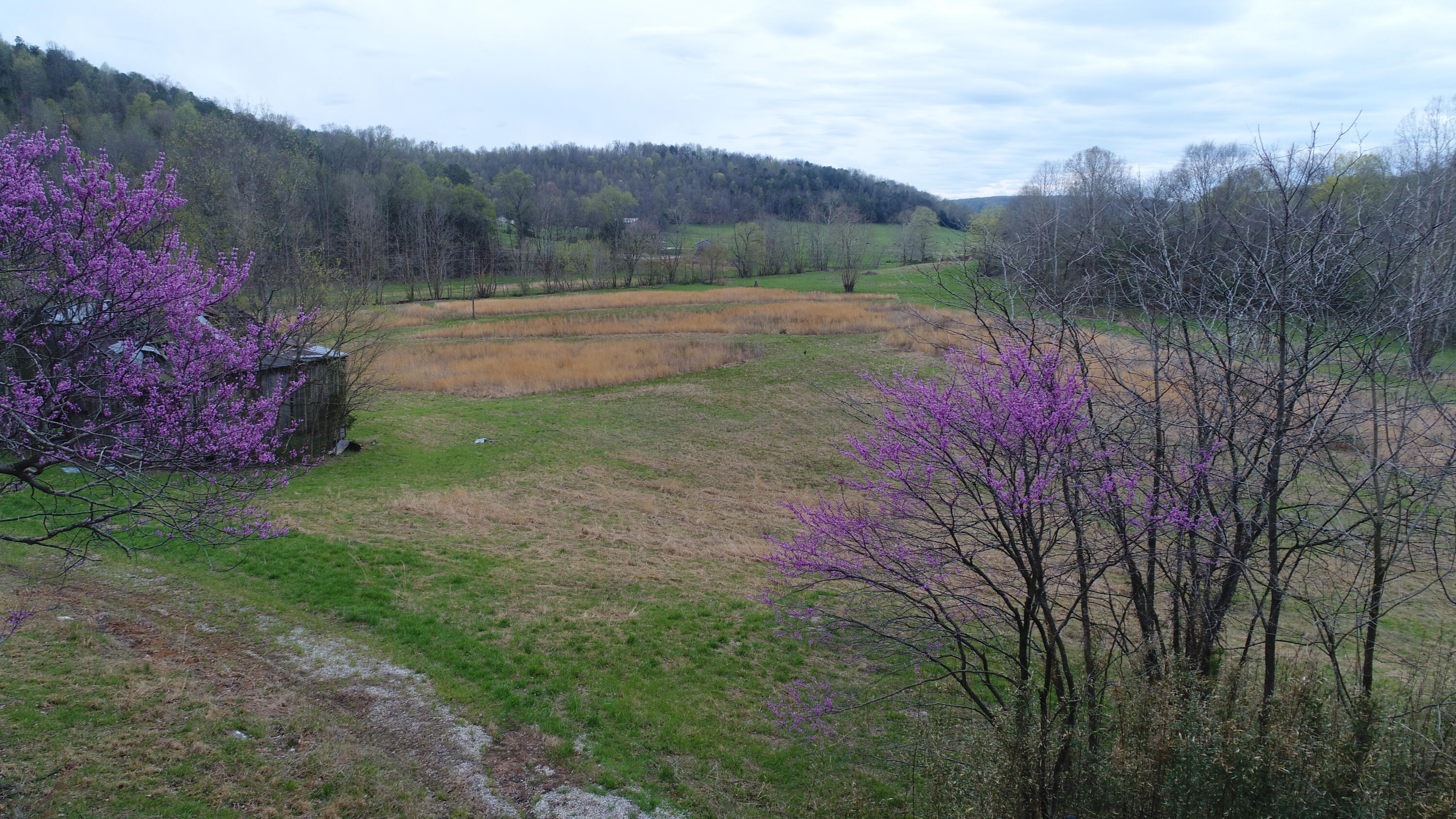 1999 Piney Grove Road Somerset, KY 42501 - Photo 1 of 26 DJI_0856