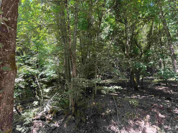 $45,000 | 187 Deer Creek Road, Orofino, ID 83544