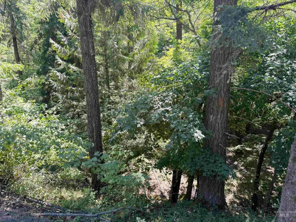 $45,000 | 187 Deer Creek Road, Orofino, ID 83544