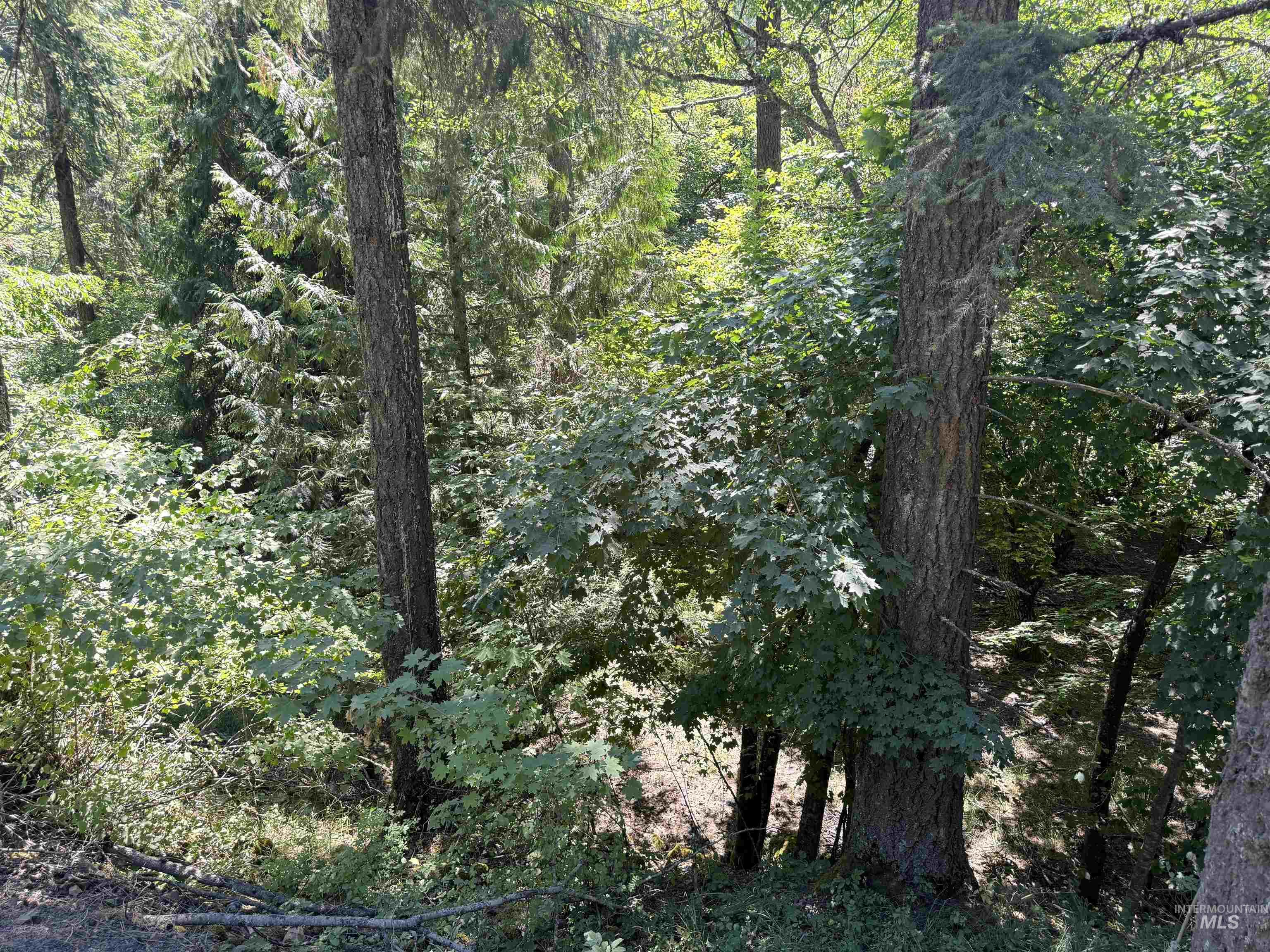 187 Deer Creek Road Orofino, ID 83544 - Photo 3 of 10