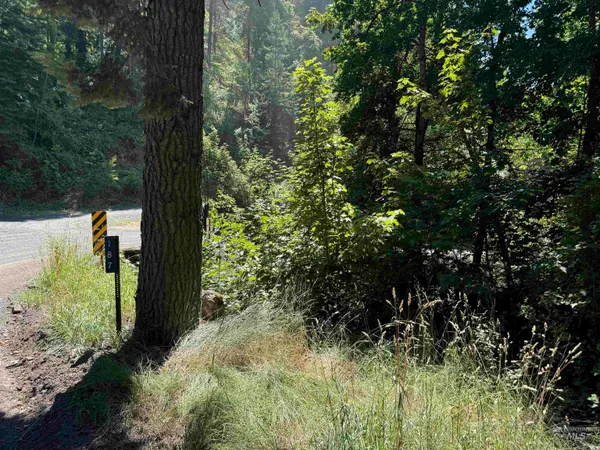 $45,000 | 187 Deer Creek Road, Orofino, ID 83544