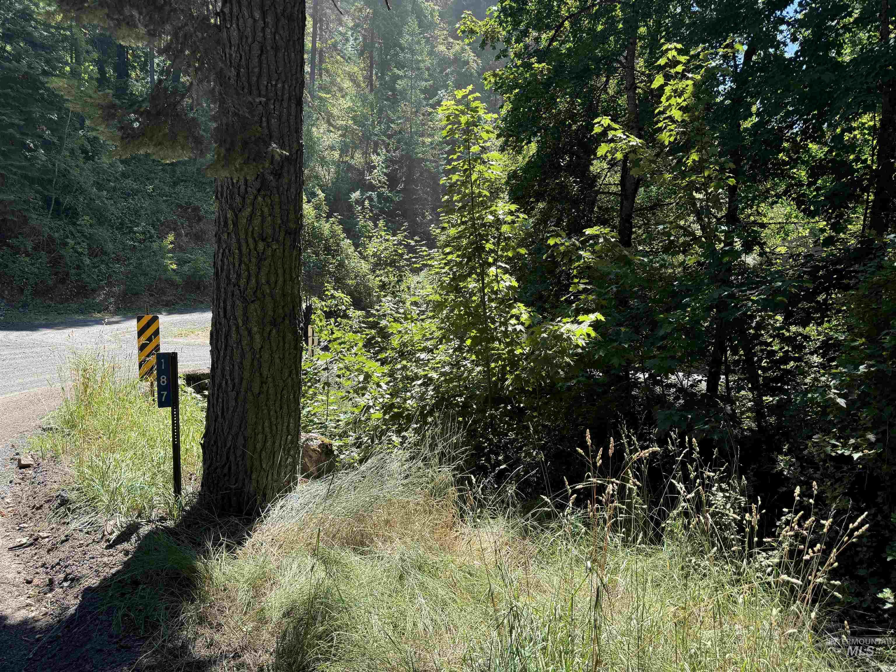 187 Deer Creek Road Orofino, ID 83544 - Photo 5 of 10