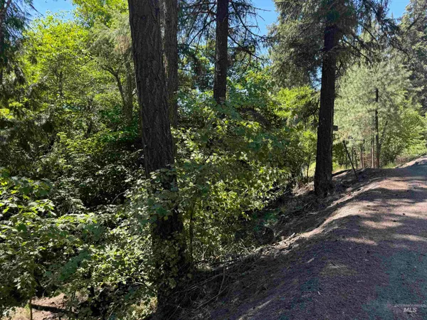 $45,000 | 187 Deer Creek Road, Orofino, ID 83544