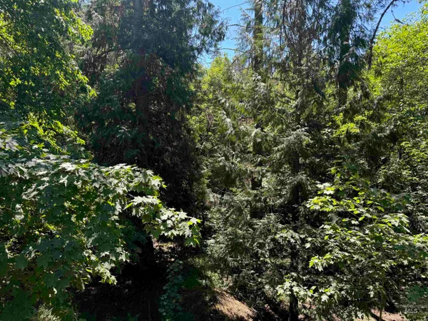 $45,000 | 187 Deer Creek Road, Orofino, ID 83544