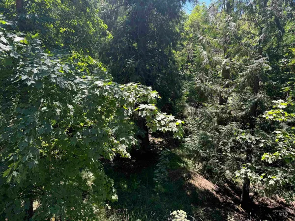 $45,000 | 187 Deer Creek Road, Orofino, ID 83544