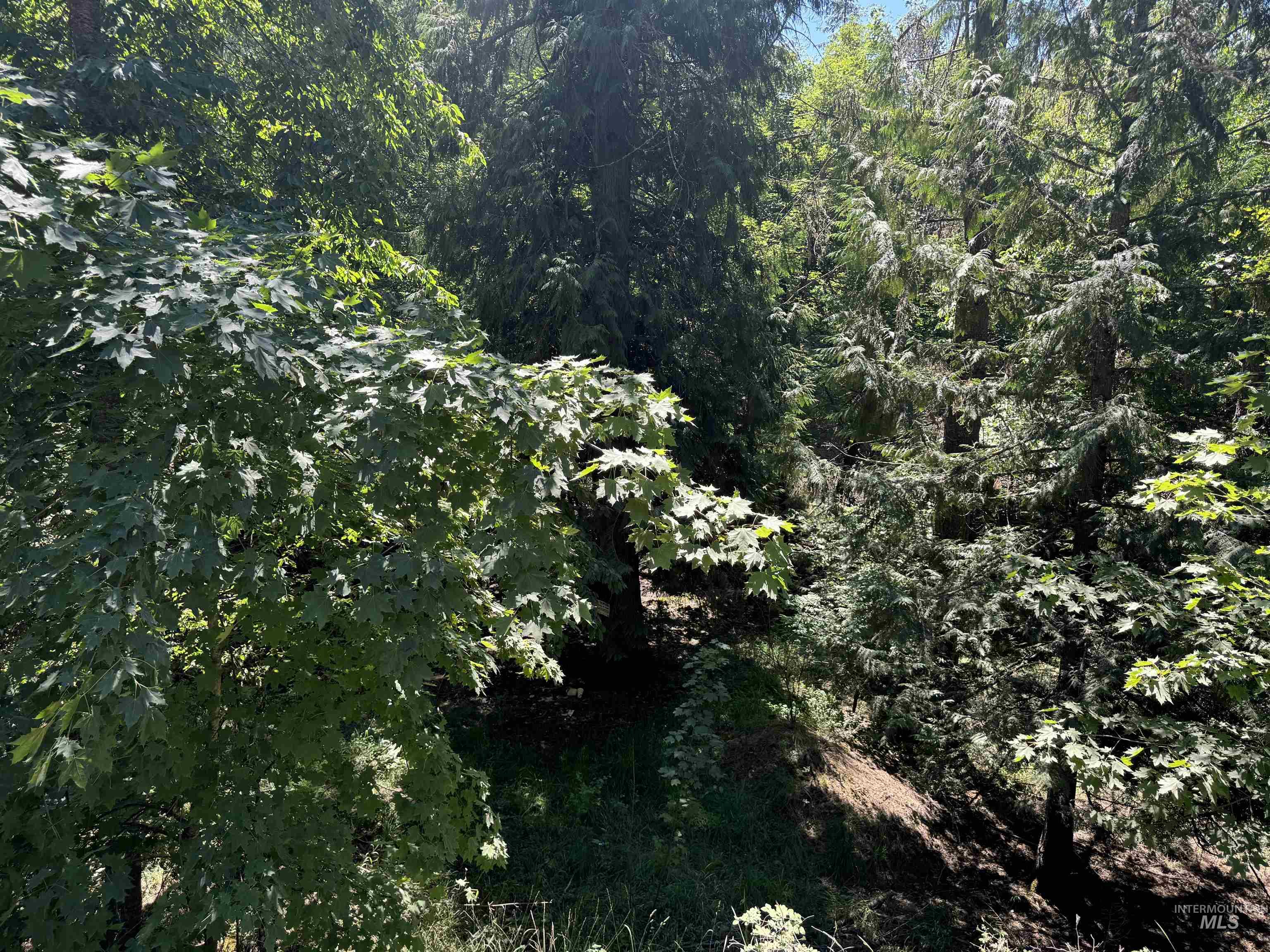 187 Deer Creek Road Orofino, ID 83544 - Photo 8 of 10