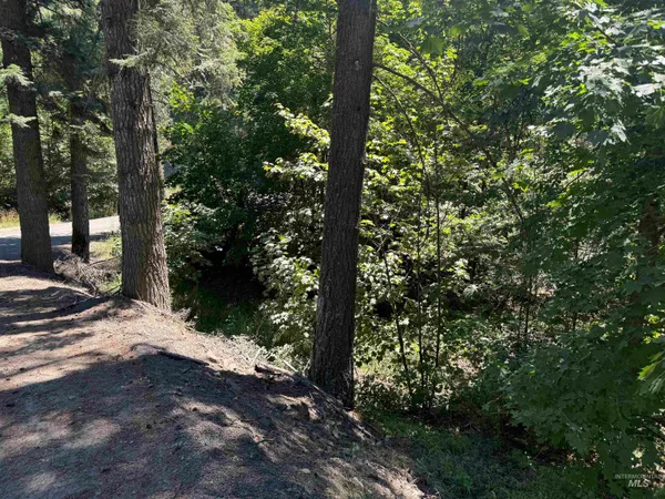 $45,000 | 187 Deer Creek Road, Orofino, ID 83544