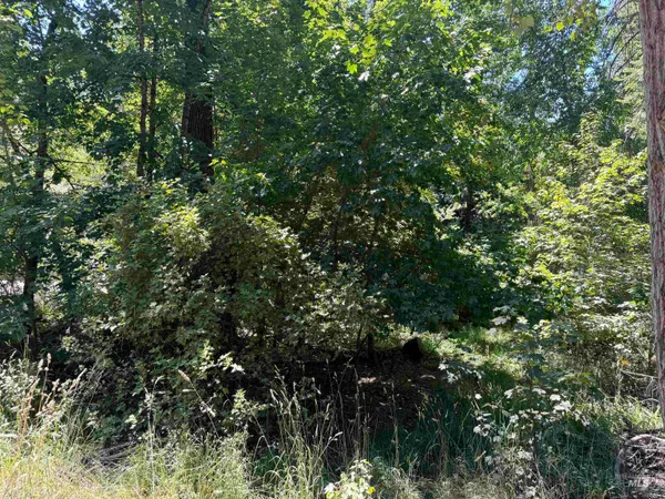 $45,000 | 187 Deer Creek Road, Orofino, ID 83544