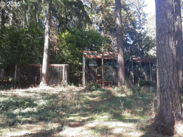 31369 Southwest Heater Road Sherwood, OR 97140 - Photo 9 of 9 a backyard of a house with lots of green space