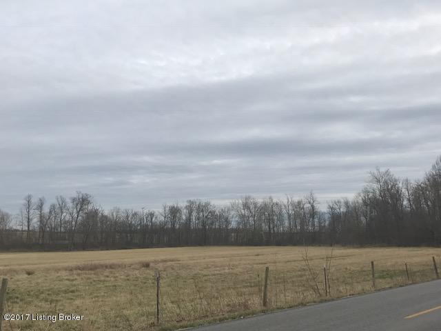 0 Salt River Road Rineyville, KY 40162 - Photo 3 of 5 IMG_2219 (002)
