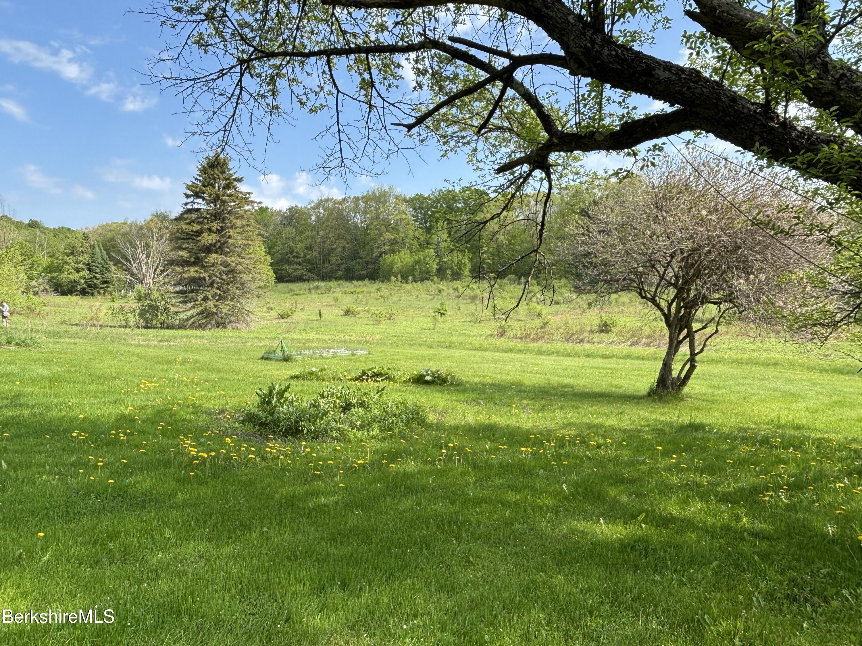 86 Miner Road Lanesborough, MA 01237 - Photo 22 of 44 a view of a yard with a tree