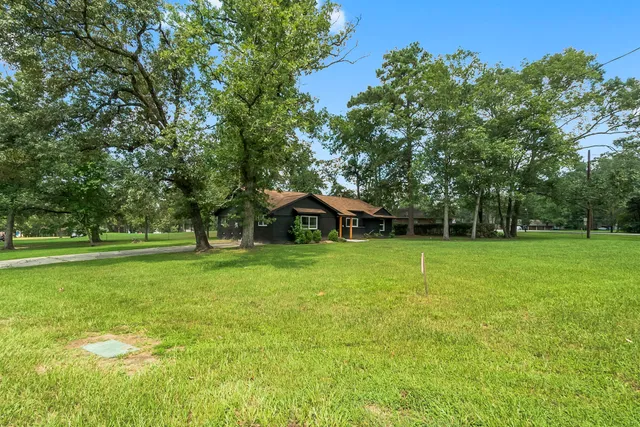 a view of a green field with trees in the background