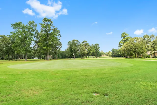 a view of a field with trees in the background