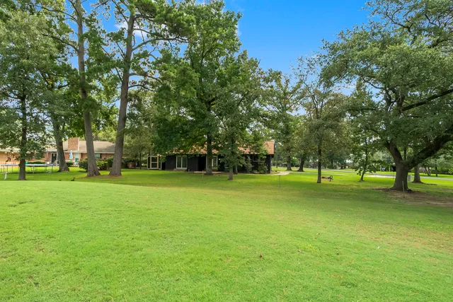 a huge green field with lots of trees