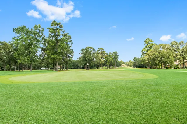 a view of a field of grass and trees