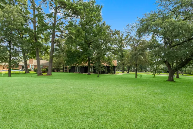 a huge green field with lots of trees