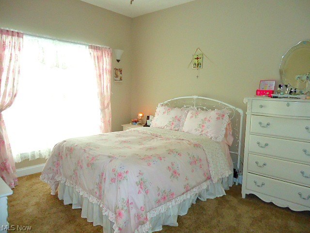 10725 Prouty Road Painesville, OH 44077 - Photo 14 of 21 Gallery Image 14