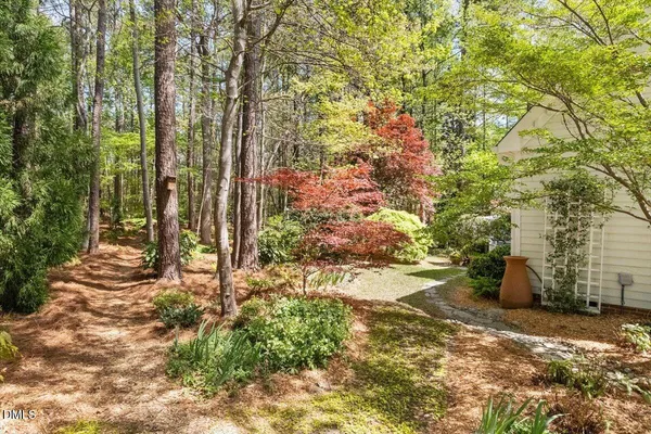 a view of a yard with plants and trees
