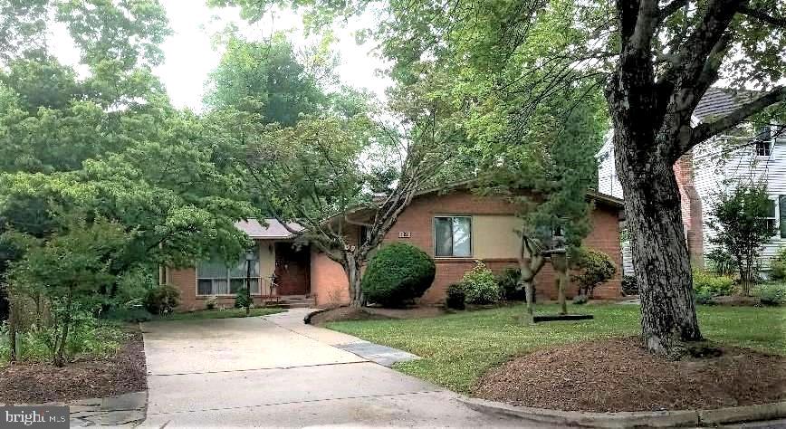 a view of a house with a tree in front of it