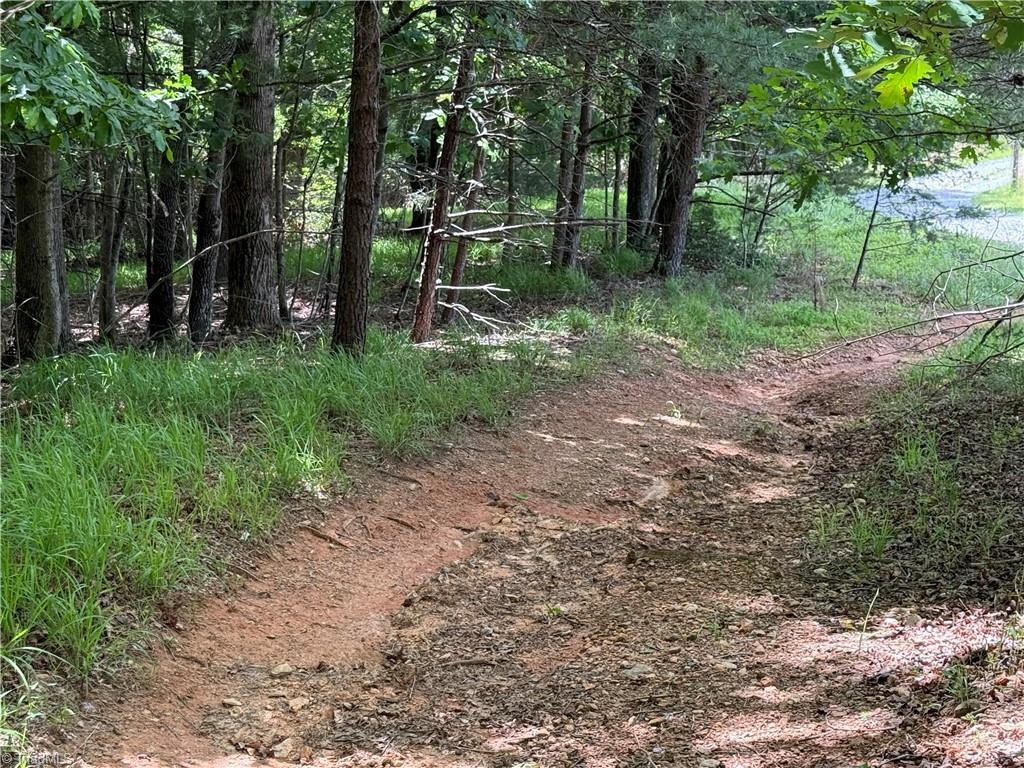 0 Old Lowgap Road Lowgap, NC 27024 - Photo 4 of 13