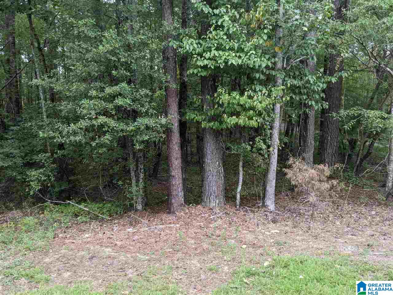 0 Smith Avenue, Unit 3 2 Anniston, AL 36207 - Photo 26 of 43