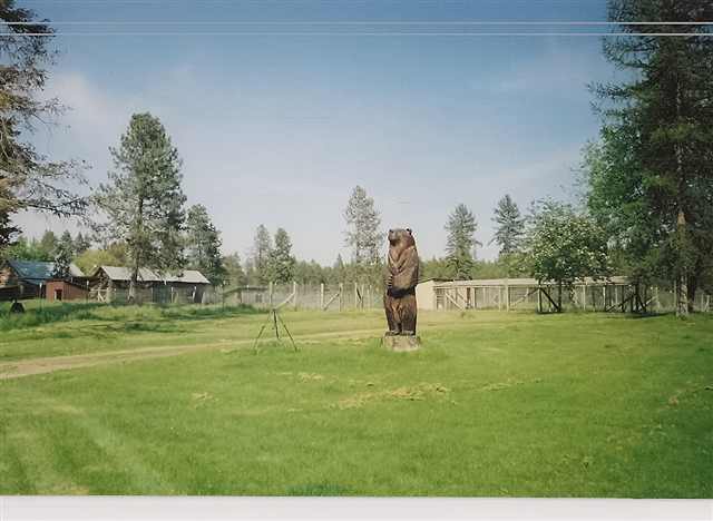 37117 North Valley Road Chattaroy, WA 99003 - Photo 3 of 9