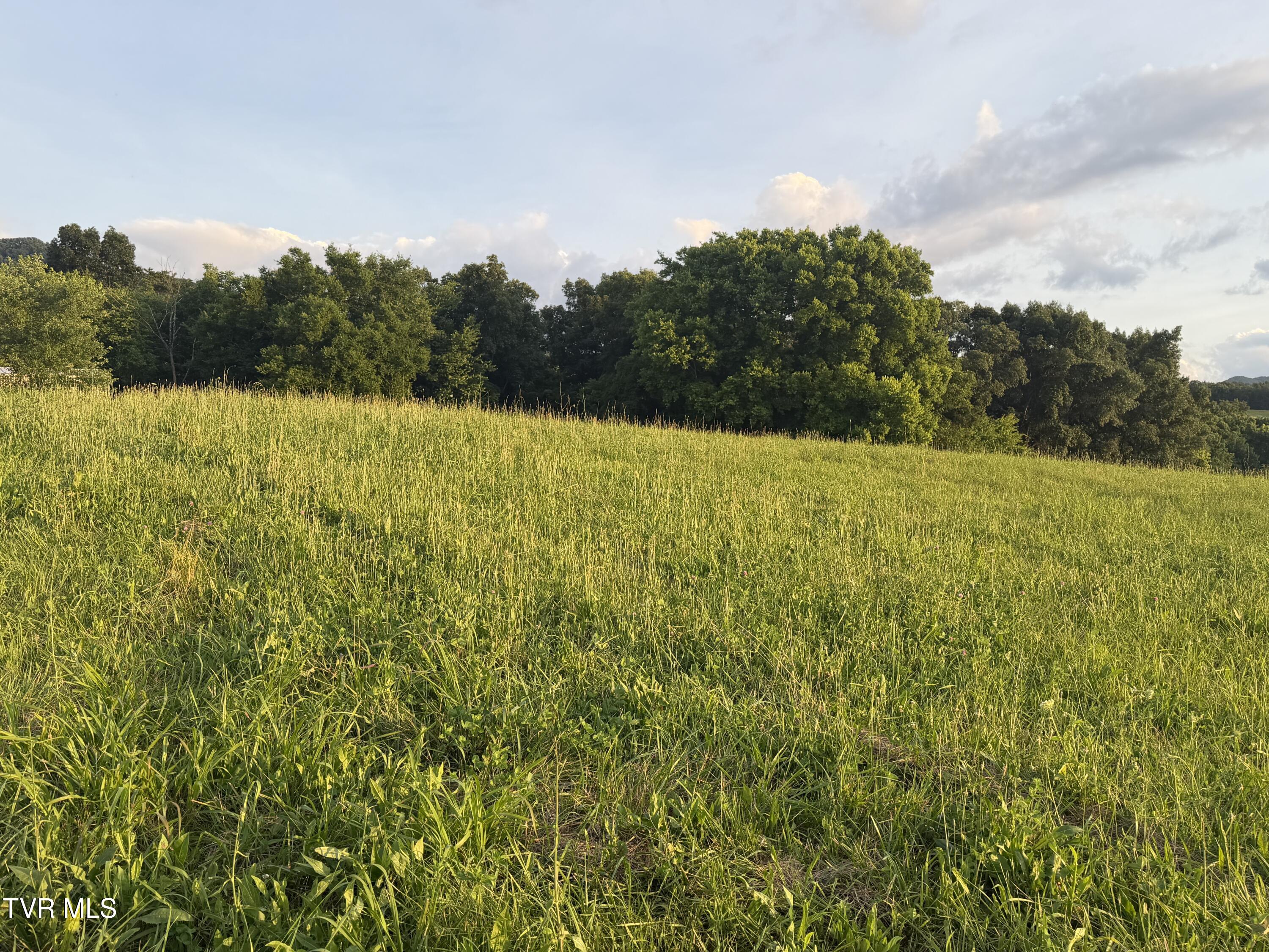 Tbd Doyle Davis Road, Unit 1R3 Greeneville, TN 37743 - Photo 8 of 22 IMG_8535