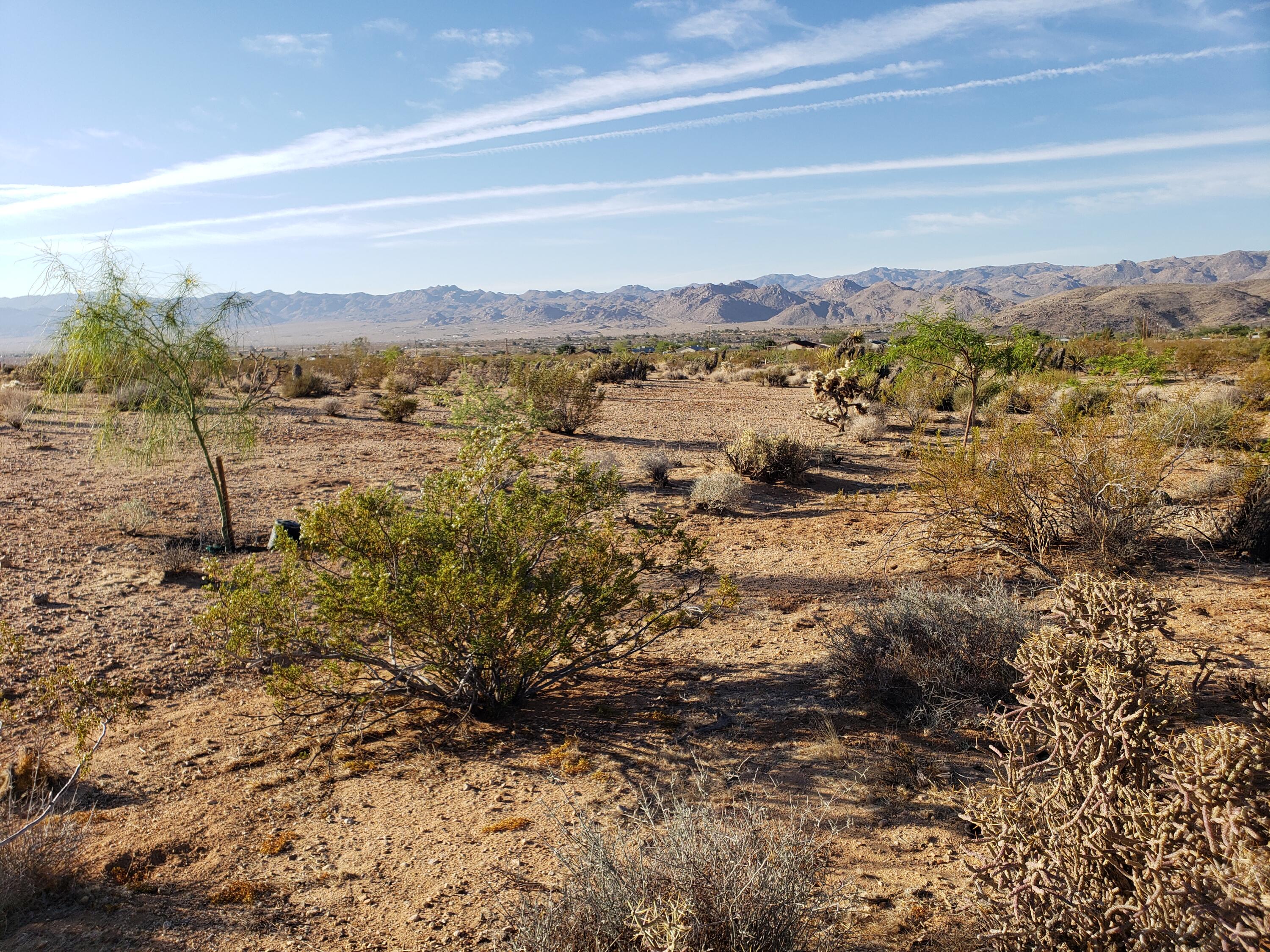 61820 Calle Del Rio Joshua Tree, CA 92252 - Photo 12 of 54 9