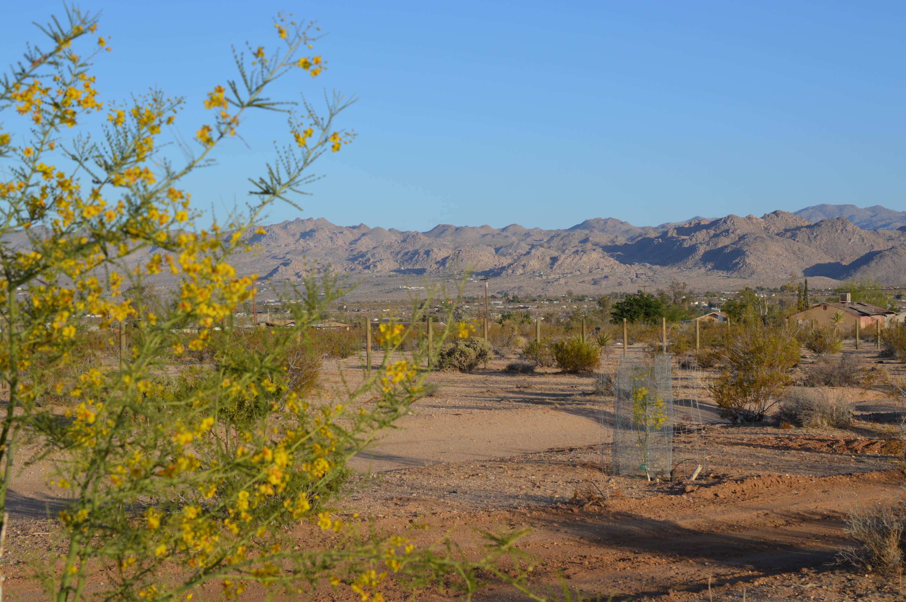 61820 Calle Del Rio Joshua Tree, CA 92252 - Photo 19 of 54 21