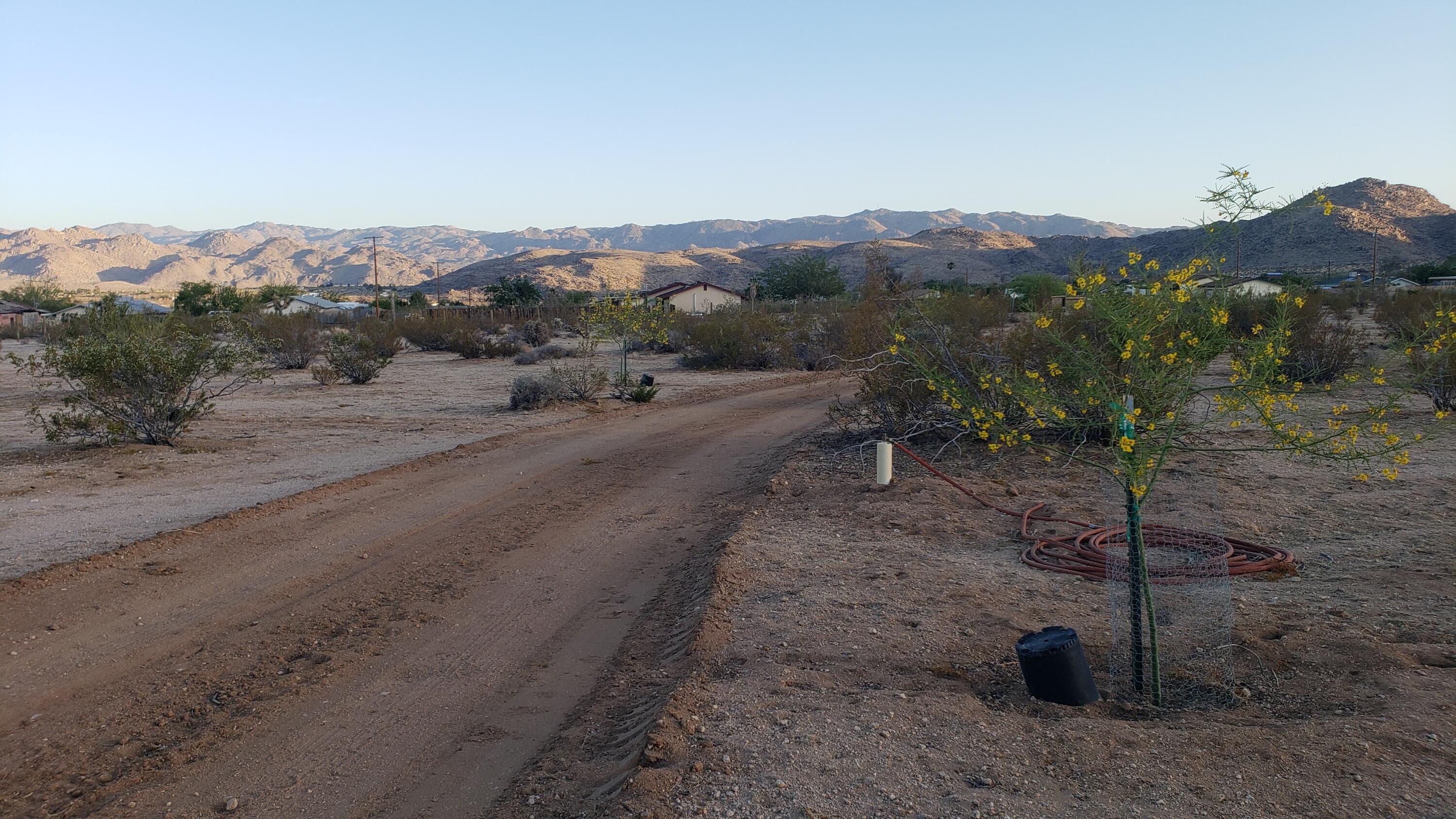 61820 Calle Del Rio Joshua Tree, CA 92252 - Photo 20 of 54 20210523_191059