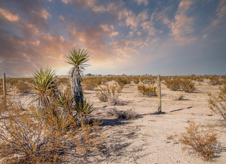 61820 Calle Del Rio Joshua Tree, CA 92252 - Photo 3 of 54 Screen Shot 2021-06-17 at 2.48.53 PM