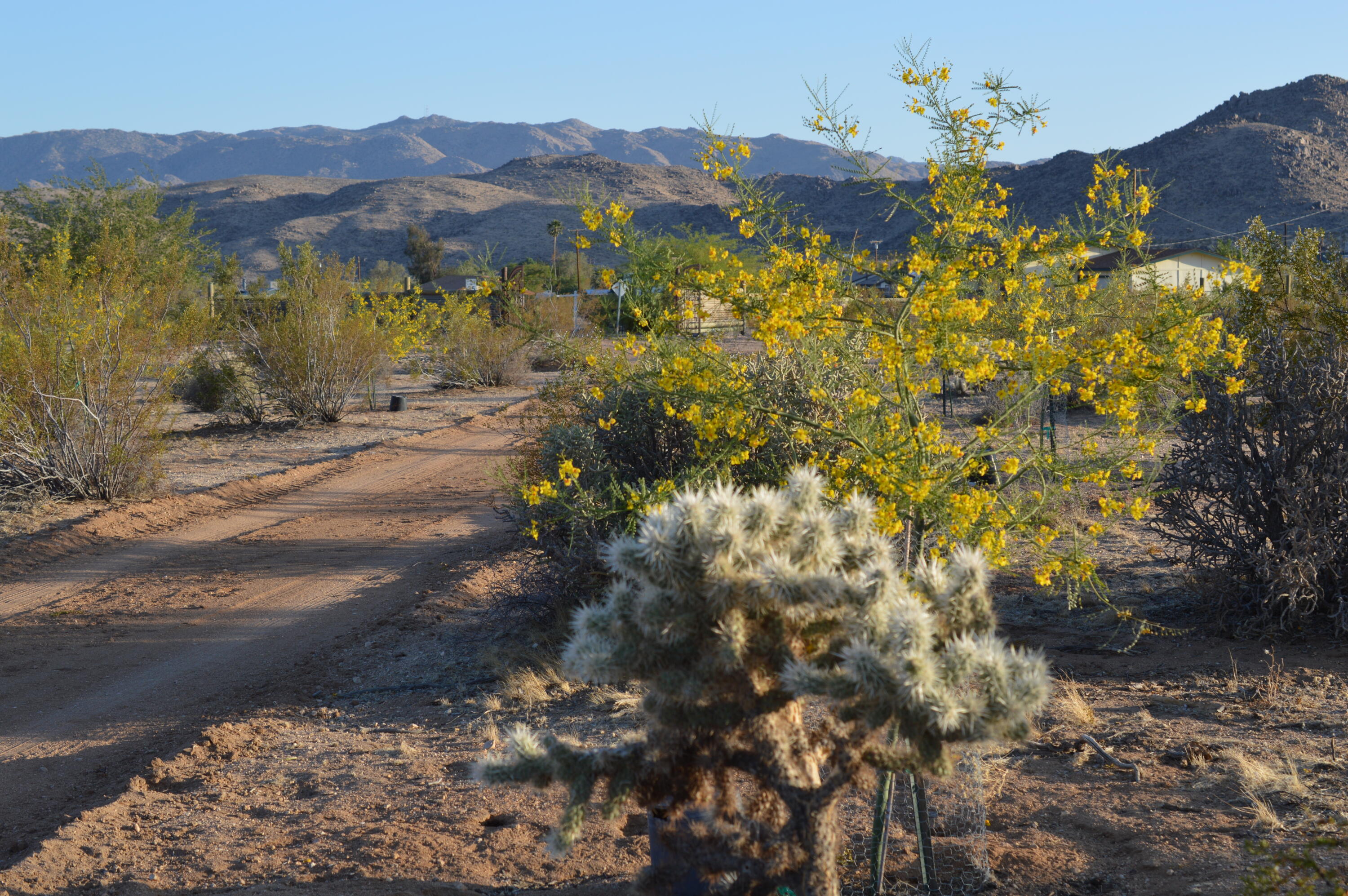 61820 Calle Del Rio Joshua Tree, CA 92252 - Photo 24 of 54 DSC_1087