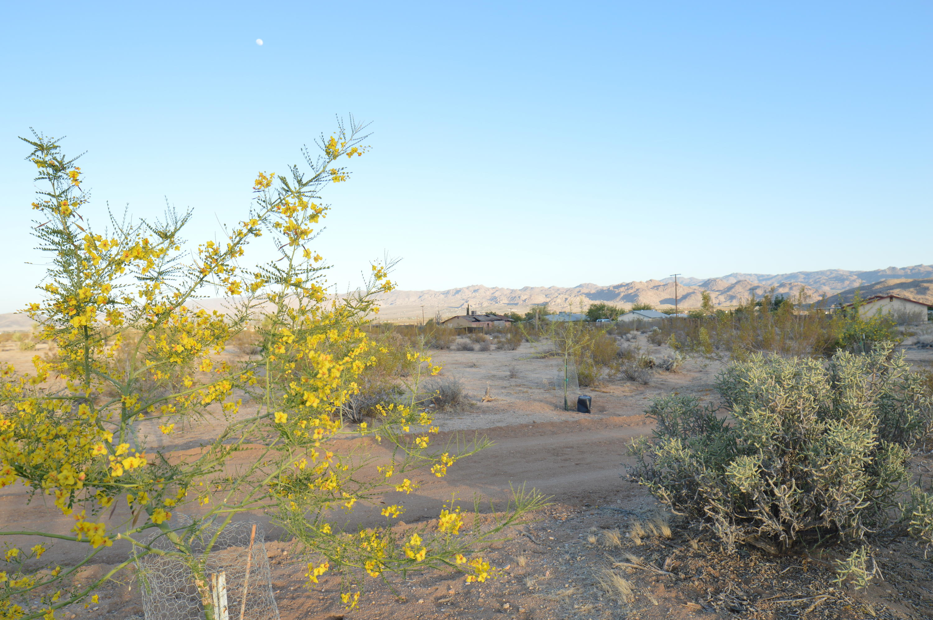 61820 Calle Del Rio Joshua Tree, CA 92252 - Photo 28 of 54 DSC_1105