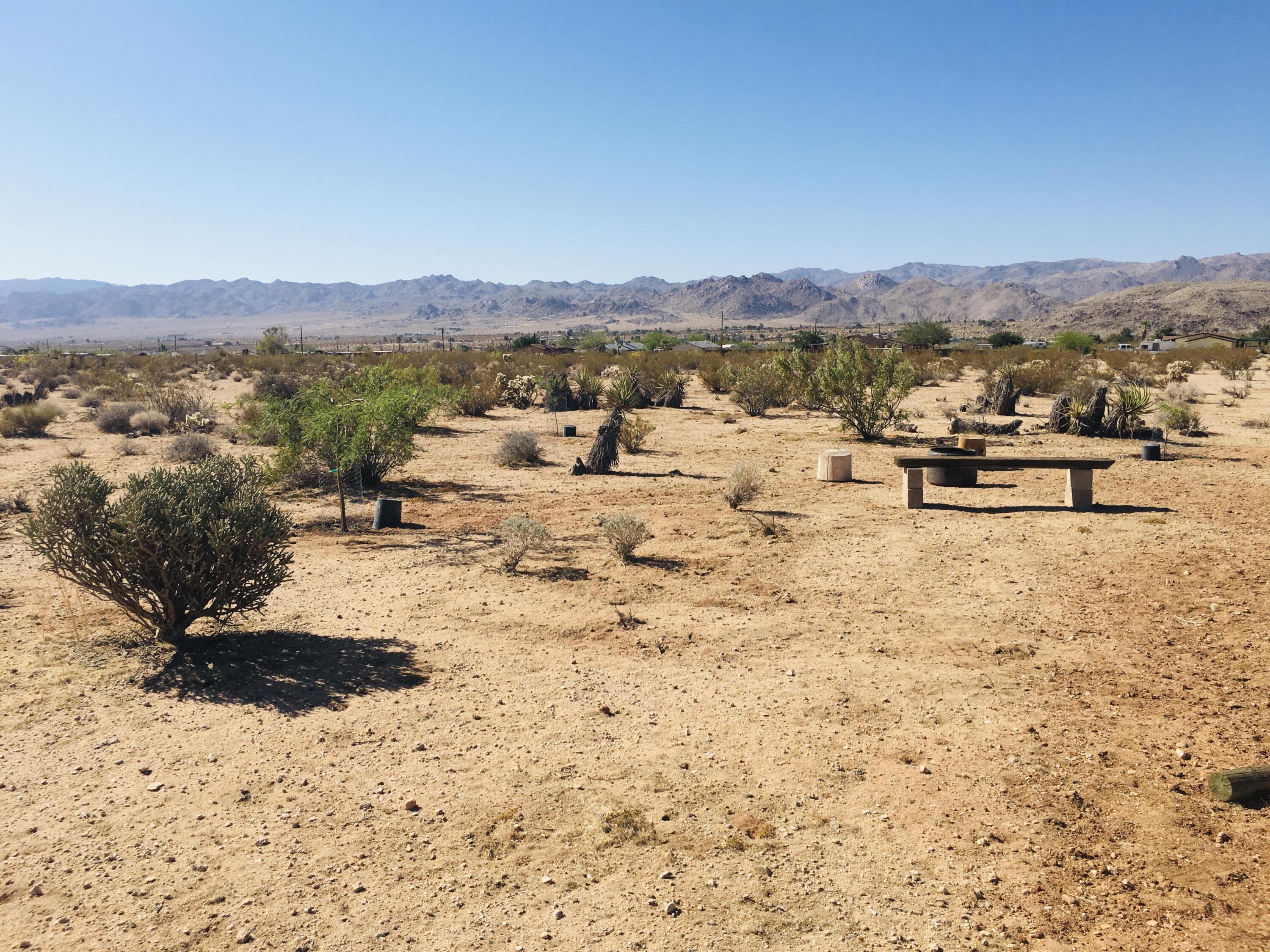 61820 Calle Del Rio Joshua Tree, CA 92252 - Photo 33 of 54 IMG_2467