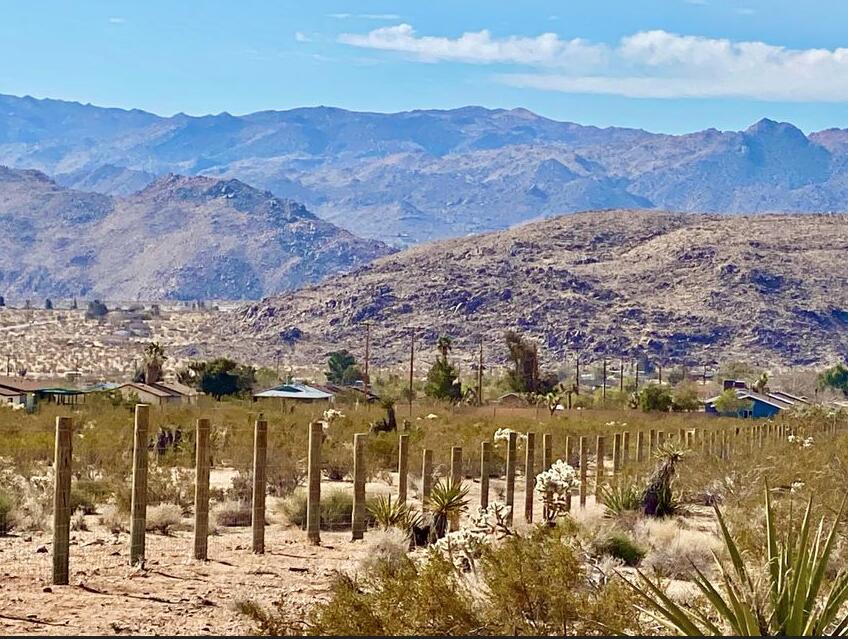 61820 Calle Del Rio Joshua Tree, CA 92252 - Photo 44 of 54 Screen Shot 2021-06-17 at 2.51.33 PM