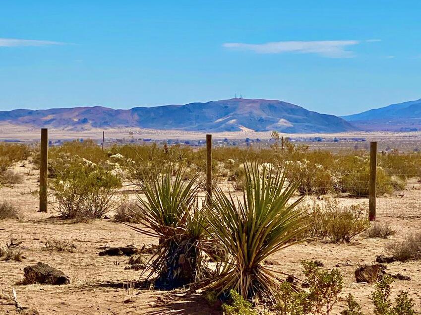 61820 Calle Del Rio Joshua Tree, CA 92252 - Photo 45 of 54 Screen Shot 2021-06-17 at 2.52.25 PM