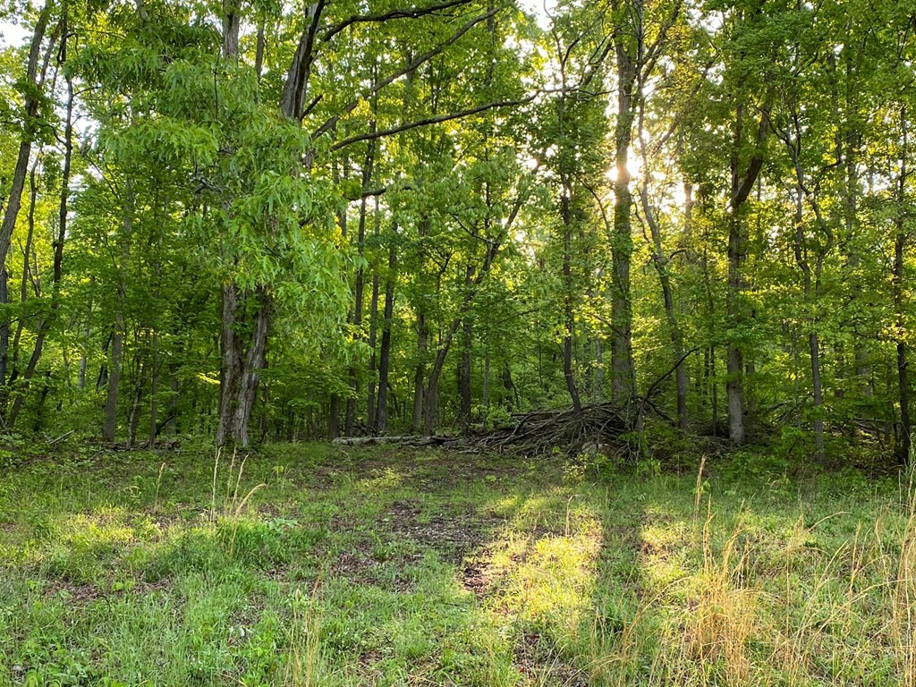 24 Fielden Store Road New Market, TN 37820 - Photo 15 of 30 Gallery Image 15