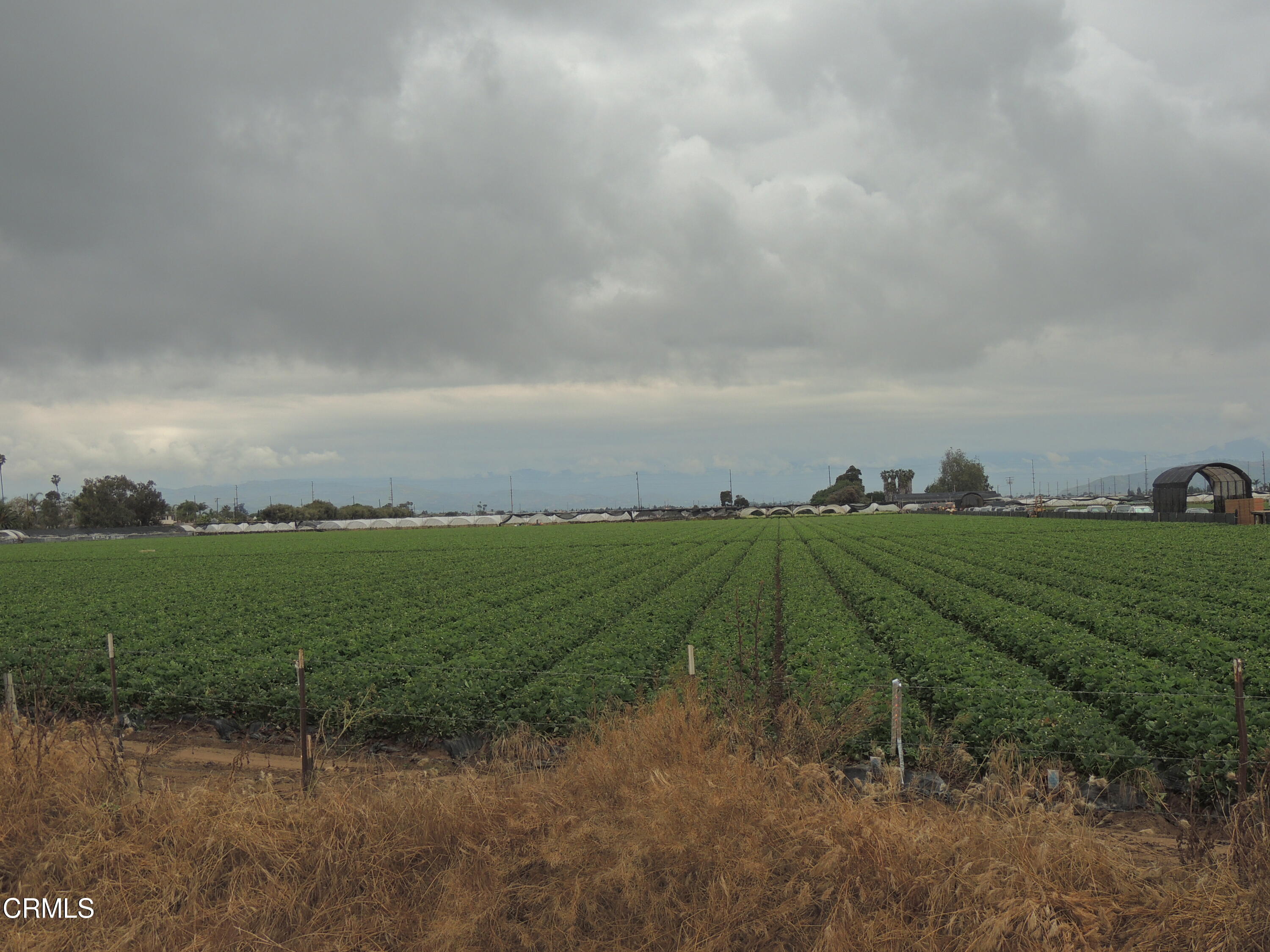 1036 Cheyenne Way Oxnard, CA 93033 - Photo 11 of 11 a view of a field with outside view