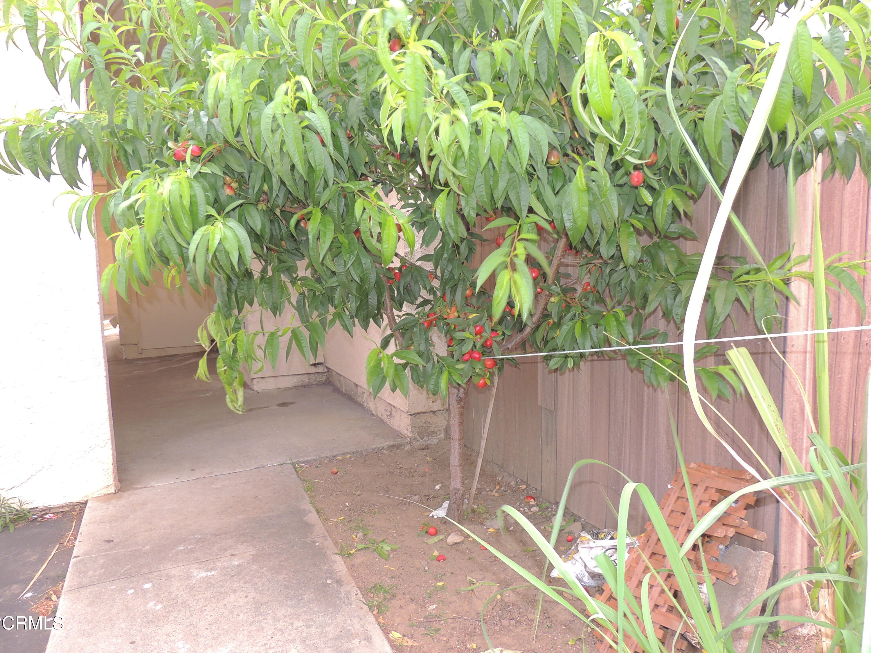 1036 Cheyenne Way Oxnard, CA 93033 - Photo 2 of 11 a backyard of a house