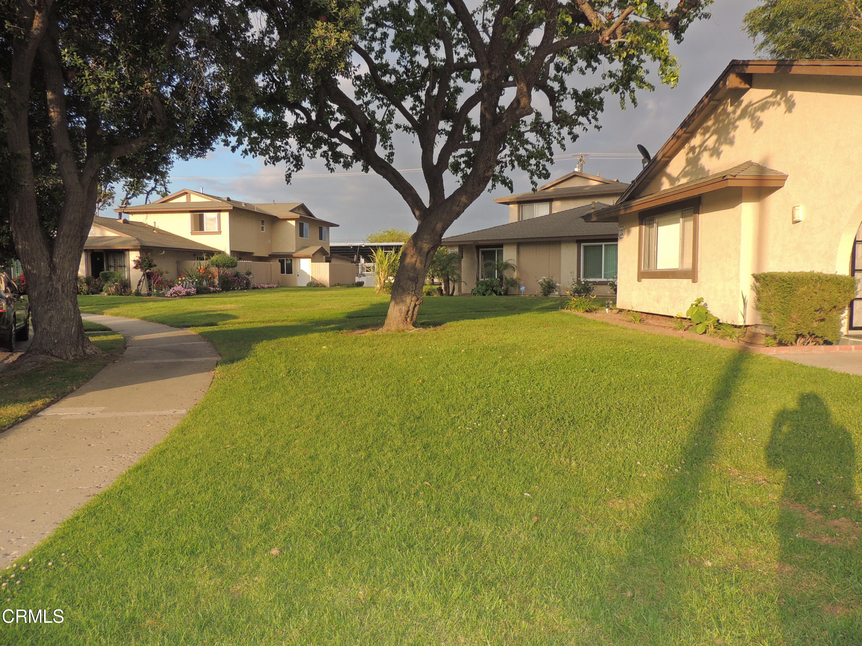 1036 Cheyenne Way Oxnard, CA 93033 - Photo 6 of 11 a view of a large trees in front of a house