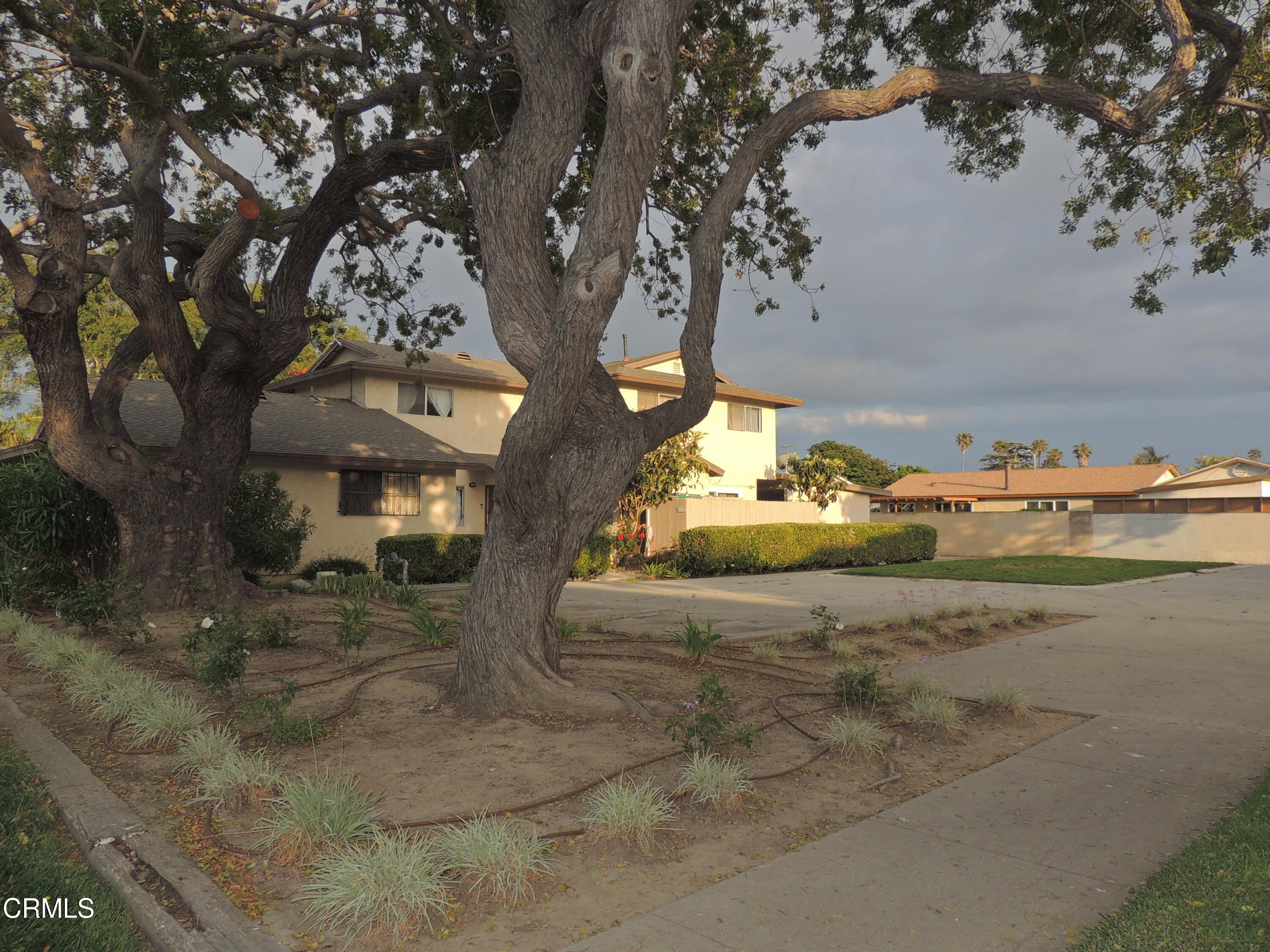 1036 Cheyenne Way Oxnard, CA 93033 - Photo 7 of 11 a view of a yard with an outdoor space